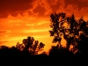 Sky Fire
